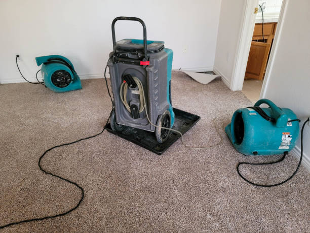 Trusted Pendleton, IN Water damage restoration Experts