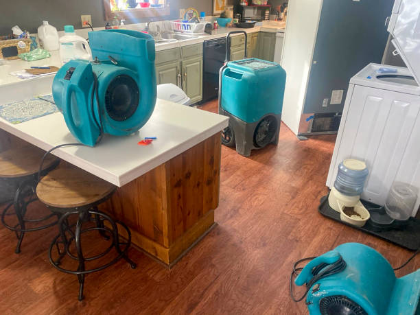 Best Ceiling water damage repair  in Pendleton, IN
