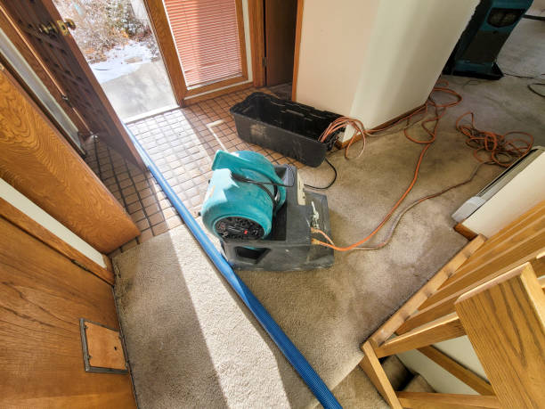 Best Professional water damage repair  in Pendleton, IN