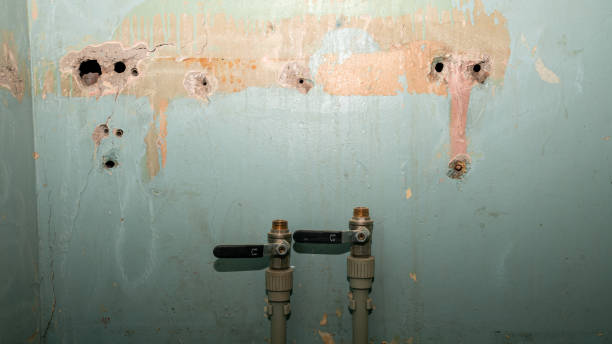 Best Basement water damage restoration  in Pendleton, IN